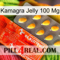 Kamagra Jelly 100 Mg new01